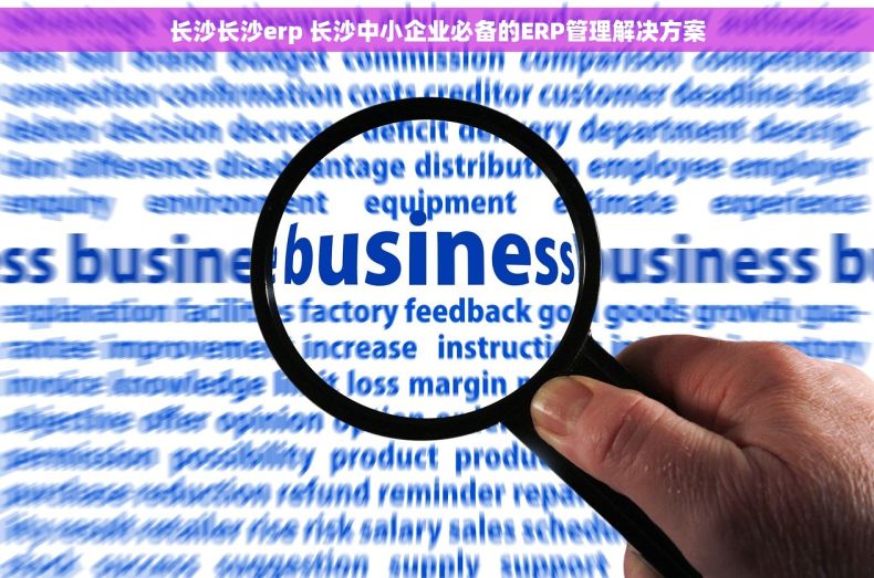 长沙长沙erp 长沙中小企业必备的ERP管理解决方案