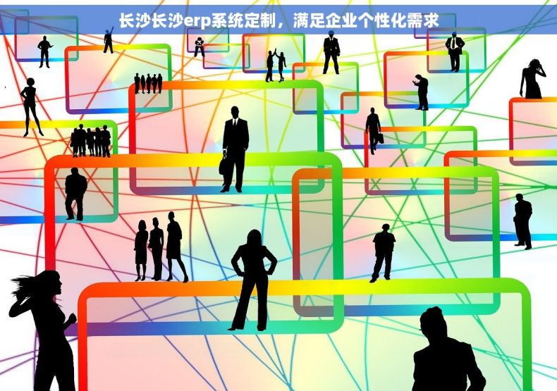 长沙长沙erp系统定制，满足企业个性化需求
