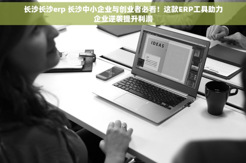 长沙长沙erp 长沙中小企业与创业者必看！这款ERP工具助力企业逆袭提升利润