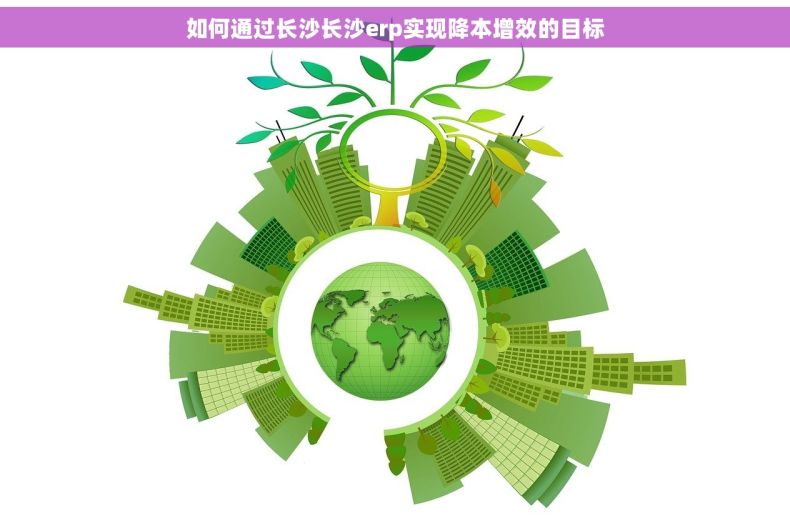 如何通过长沙长沙erp实现降本增效的目标