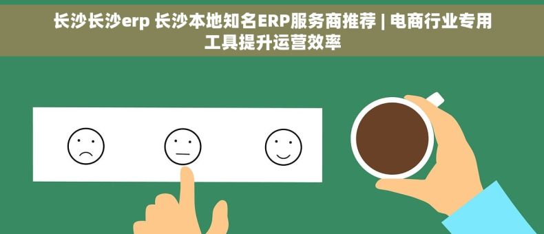 长沙长沙erp 长沙本地知名ERP服务商推荐 | 电商行业专用工具提升运营效率