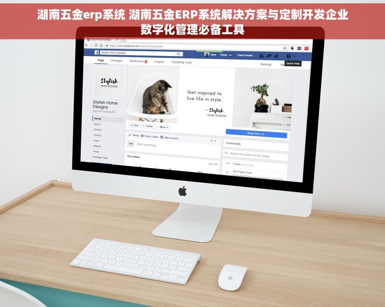 湖南五金erp系统 湖南五金ERP系统解决方案与定制开发企业数字化管理必备工具