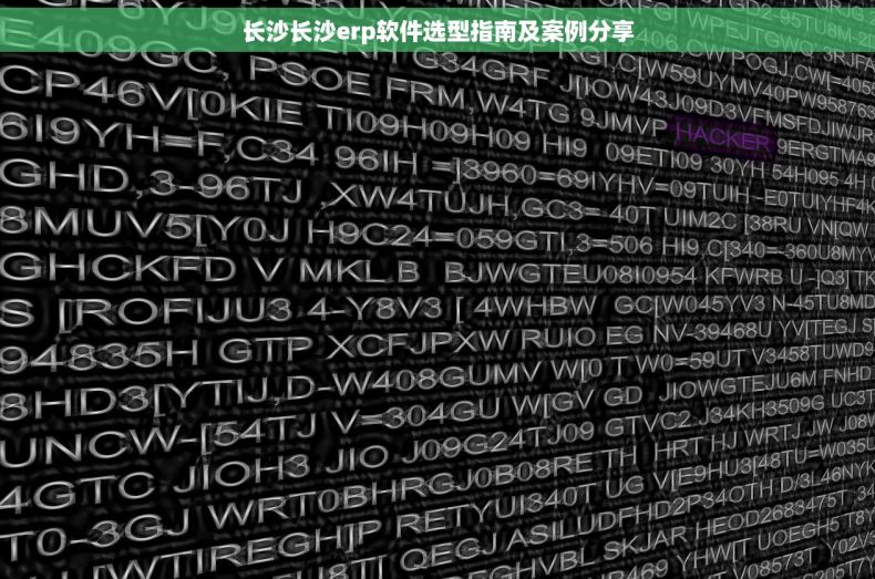 长沙长沙erp软件选型指南及案例分享