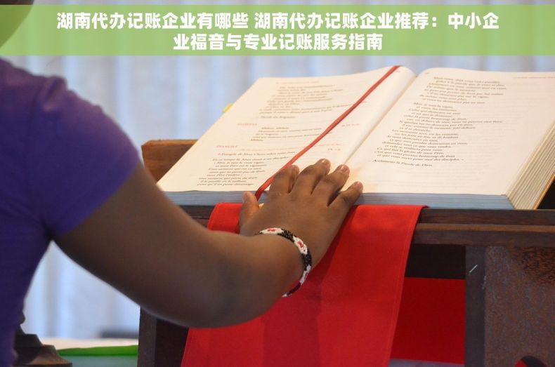 湖南代办记账企业有哪些 湖南代办记账企业推荐：中小企业福音与专业记账服务指南