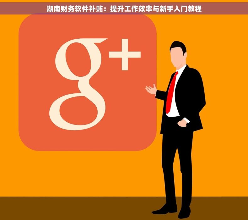湖南财务软件补贴：提升工作效率与新手入门教程