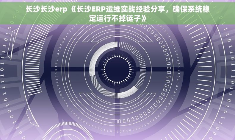 长沙长沙erp 《长沙ERP运维实战经验分享，确保系统稳定运行不掉链子》