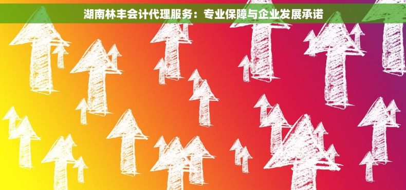 湖南林丰会计代理服务：专业保障与企业发展承诺