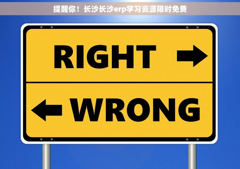 提醒你！长沙长沙erp学习资源限时免费