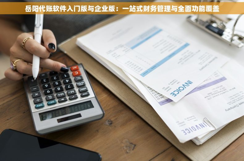 岳阳代账软件入门版与企业版：一站式财务管理与全面功能覆盖