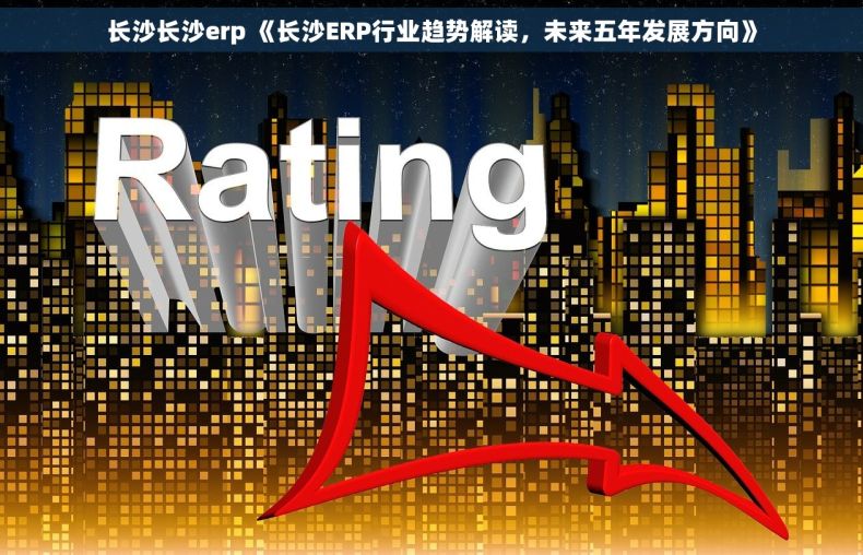 长沙长沙erp 《长沙ERP行业趋势解读，未来五年发展方向》