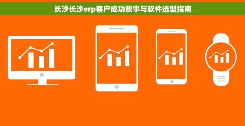 长沙长沙erp客户成功故事与软件选型指南