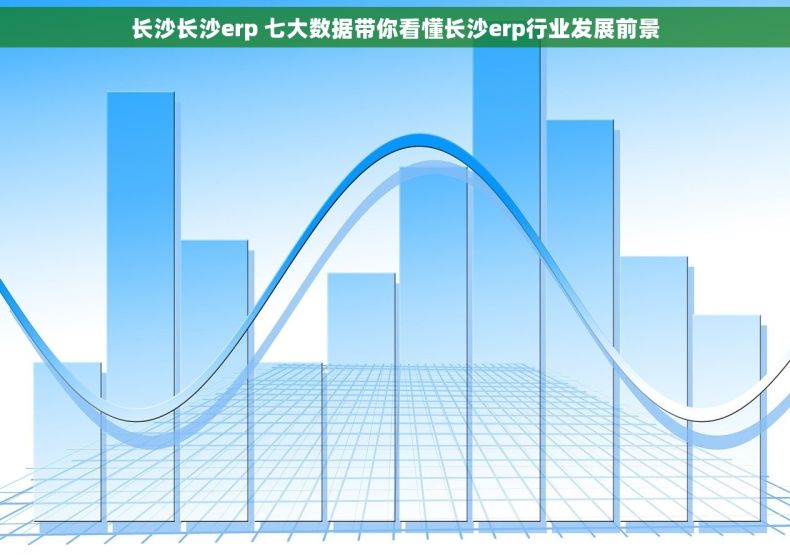 长沙长沙erp 七大数据带你看懂长沙erp行业发展前景