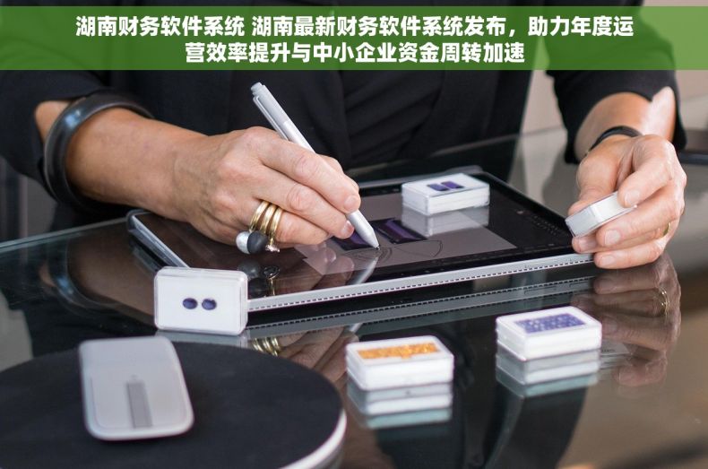 湖南财务软件系统 湖南最新财务软件系统发布，助力年度运营效率提升与中小企业资金周转加速