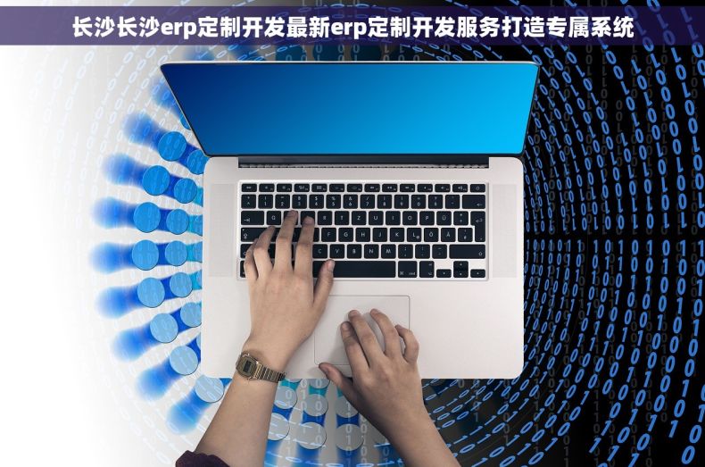 长沙长沙erp定制开发最新erp定制开发服务打造专属系统