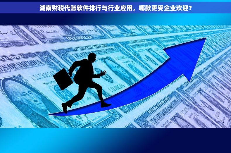 湖南财税代账软件排行与行业应用，哪款更受企业欢迎？