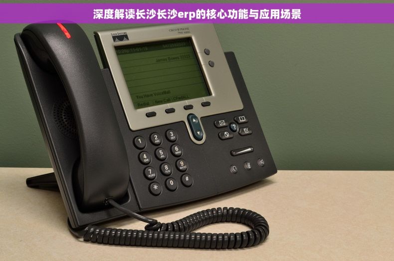 深度解读长沙长沙erp的核心功能与应用场景