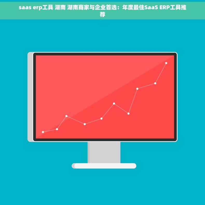 saas erp工具 湖南 湖南商家与企业首选：年度最佳SaaS ERP工具推荐