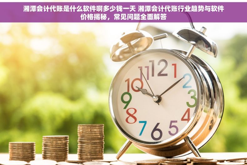 湘潭会计代账是什么软件啊多少钱一天 湘潭会计代账行业趋势与软件价格揭秘，常见问题全面解答