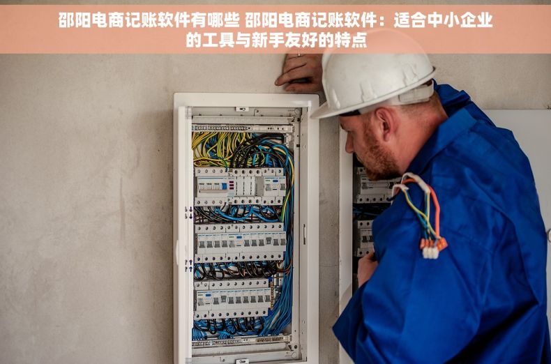 邵阳电商记账软件有哪些 邵阳电商记账软件：适合中小企业的工具与新手友好的特点