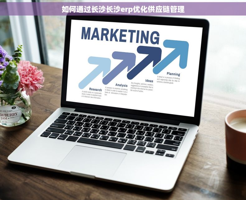 如何通过长沙长沙erp优化供应链管理