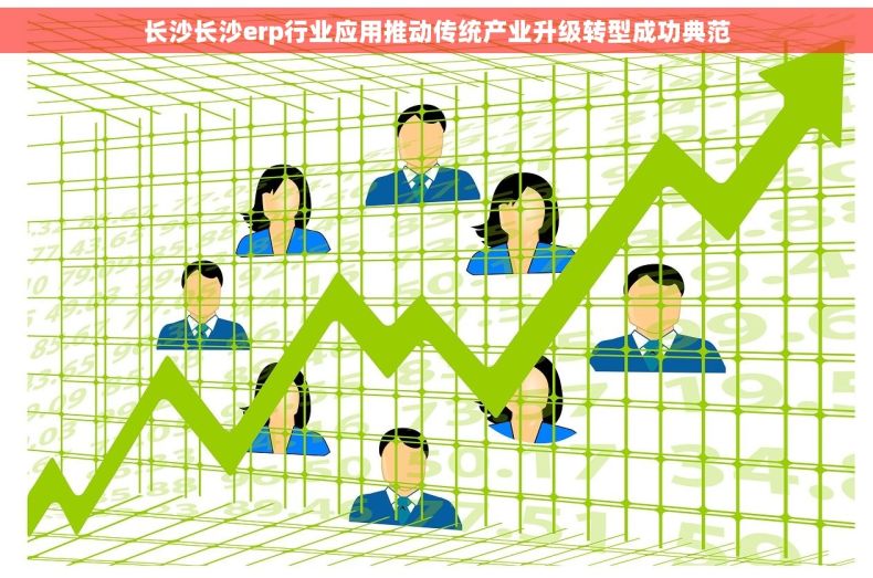 长沙长沙erp行业应用推动传统产业升级转型成功典范
