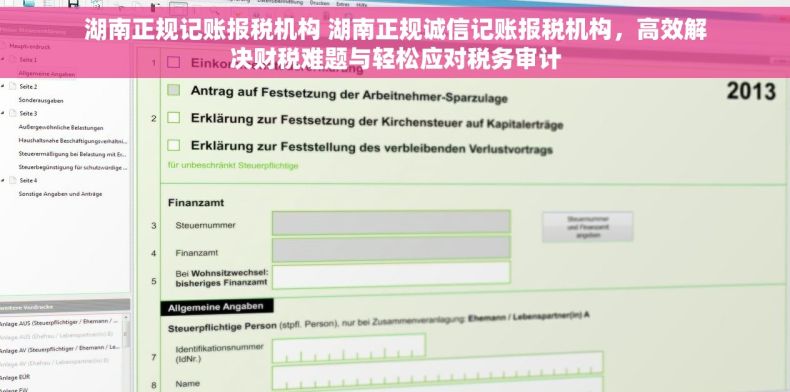 湖南正规记账报税机构 湖南正规诚信记账报税机构，高效解决财税难题与轻松应对税务审计