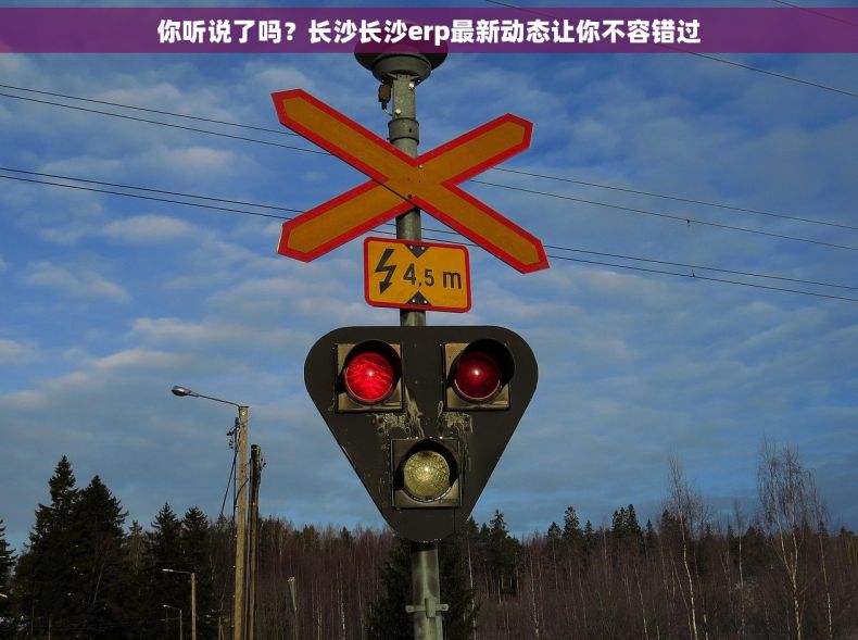 你听说了吗？长沙长沙erp最新动态让你不容错过
