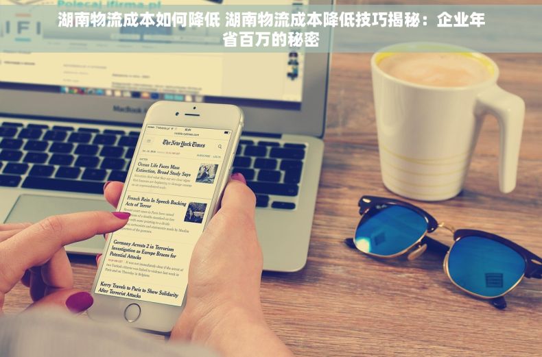 湖南物流成本如何降低 湖南物流成本降低技巧揭秘：企业年省百万的秘密