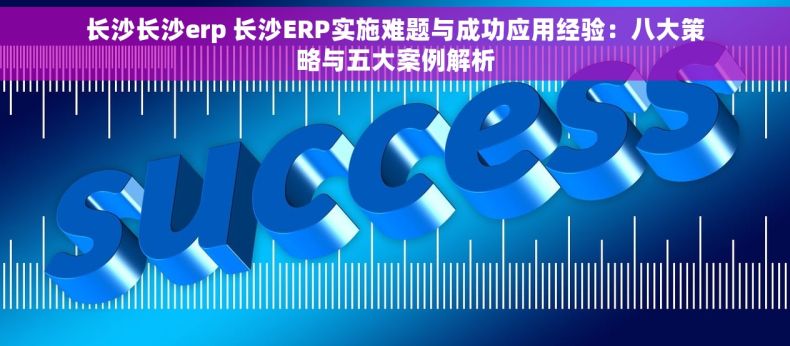 长沙长沙erp 长沙ERP实施难题与成功应用经验：八大策略与五大案例解析