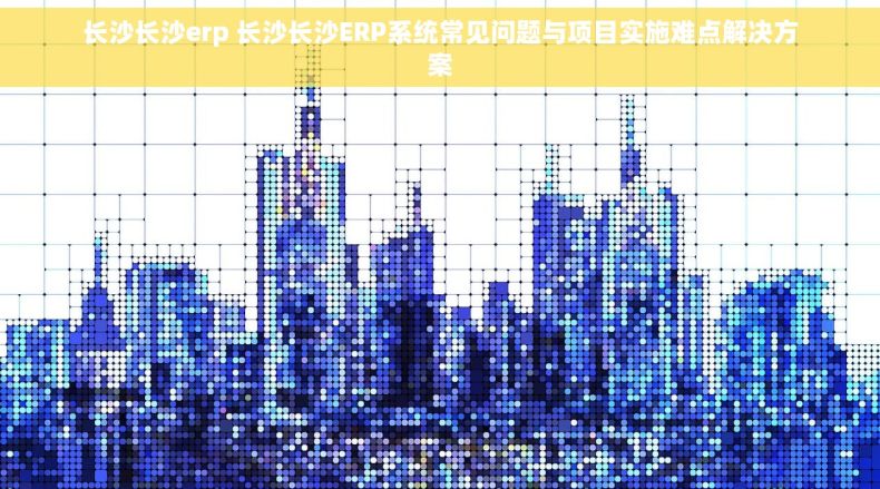 长沙长沙erp 长沙长沙ERP系统常见问题与项目实施难点解决方案