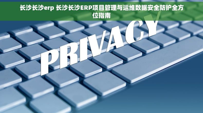 长沙长沙erp 长沙长沙ERP项目管理与运维数据安全防护全方位指南
