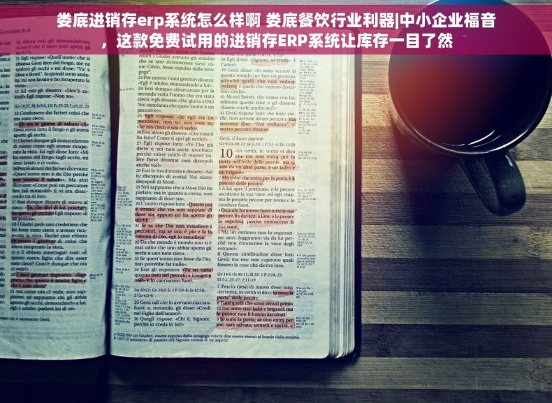 娄底进销存erp系统怎么样啊 娄底餐饮行业利器|中小企业福音，这款免费试用的进销存ERP系统让库存一目了然