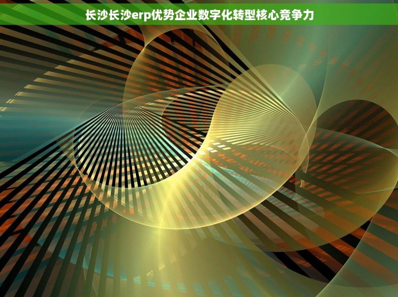 长沙长沙erp优势企业数字化转型核心竞争力