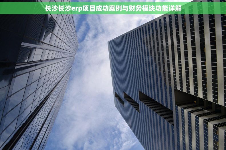 长沙长沙erp项目成功案例与财务模块功能详解