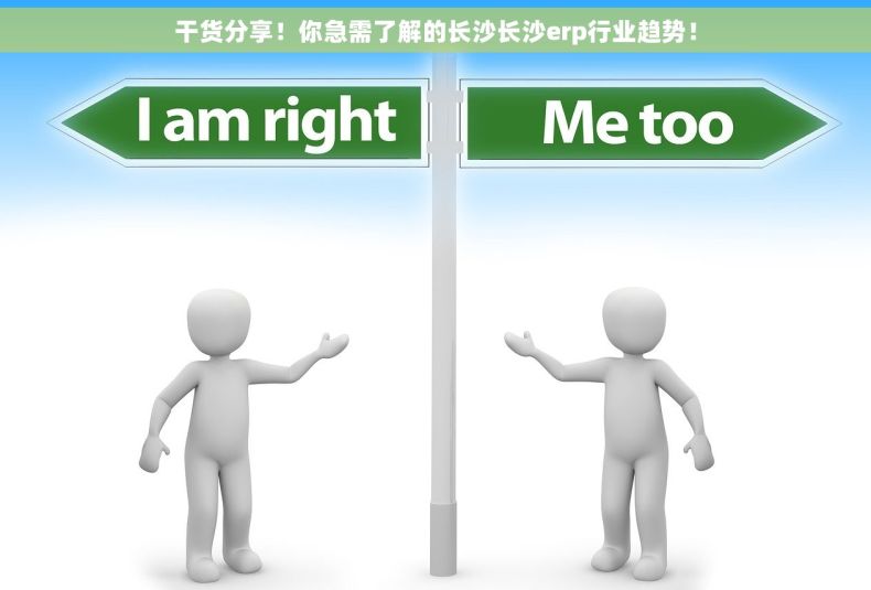 干货分享！你急需了解的长沙长沙erp行业趋势！