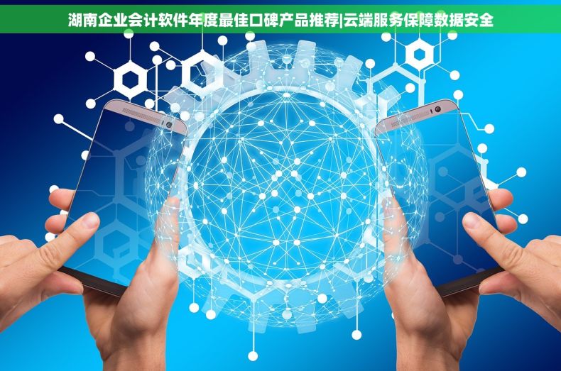 湖南企业会计软件年度最佳口碑产品推荐|云端服务保障数据安全