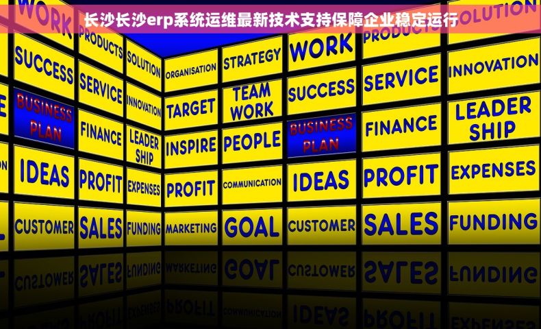 长沙长沙erp系统运维最新技术支持保障企业稳定运行