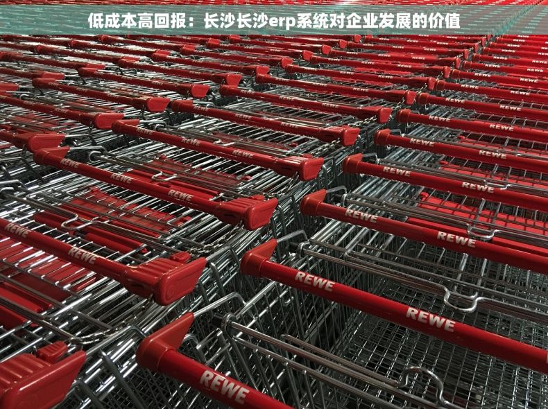 低成本高回报：长沙长沙erp系统对企业发展的价值