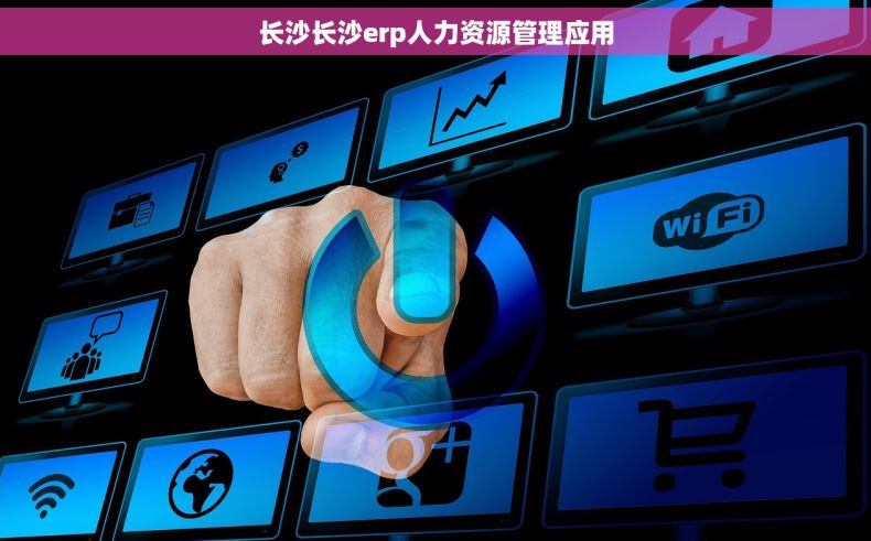 长沙长沙erp人力资源管理应用