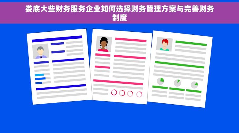 娄底大些财务服务企业如何选择财务管理方案与完善财务制度