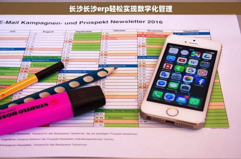 长沙长沙erp轻松实现数字化管理