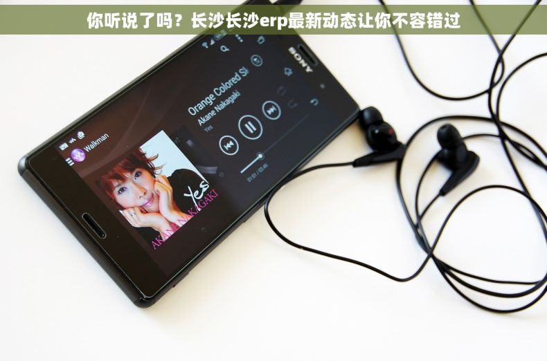 你听说了吗？长沙长沙erp最新动态让你不容错过