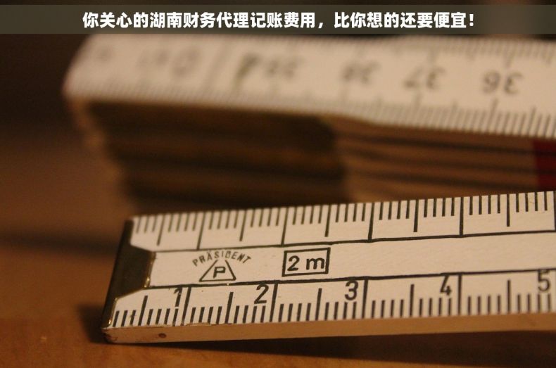 你关心的湖南财务代理记账费用，比你想的还要便宜！