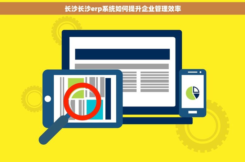 长沙长沙erp系统如何提升企业管理效率
