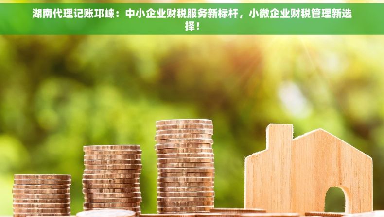 湖南代理记账邛崃：中小企业财税服务新标杆，小微企业财税管理新选择！