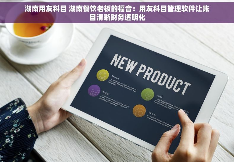 湖南用友科目 湖南餐饮老板的福音：用友科目管理软件让账目清晰财务透明化