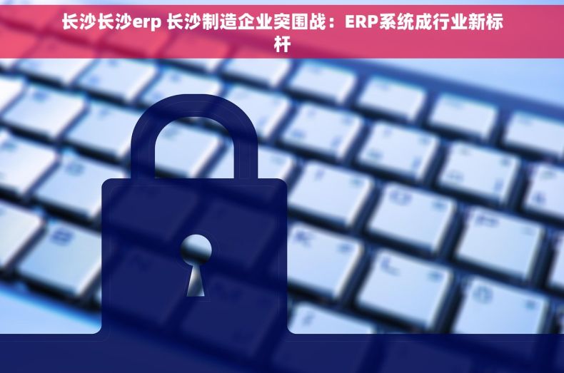 长沙长沙erp 长沙制造企业突围战：ERP系统成行业新标杆