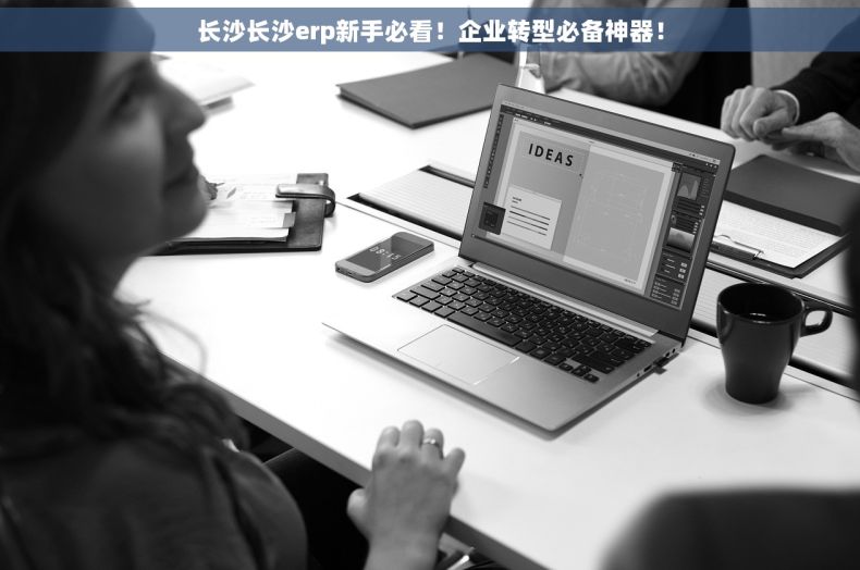 长沙长沙erp新手必看！企业转型必备神器！