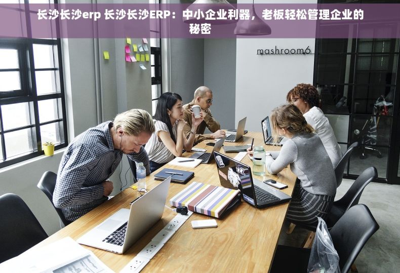 长沙长沙erp 长沙长沙ERP：中小企业利器，老板轻松管理企业的秘密