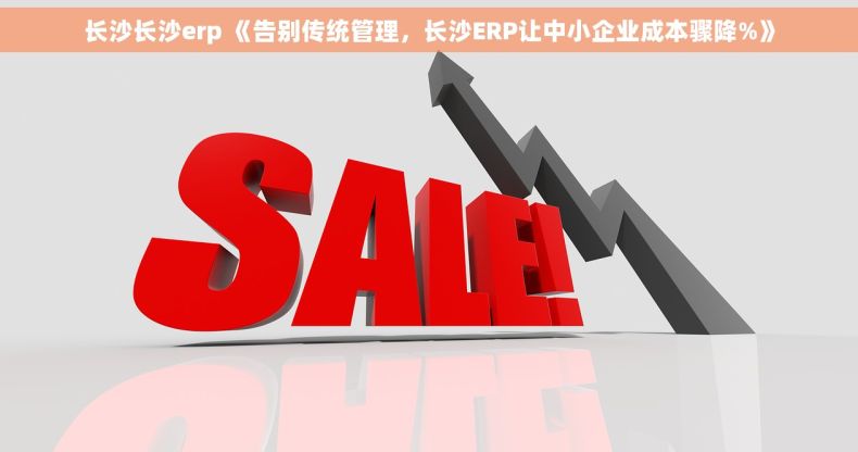 长沙长沙erp 《告别传统管理，长沙ERP让中小企业成本骤降%》